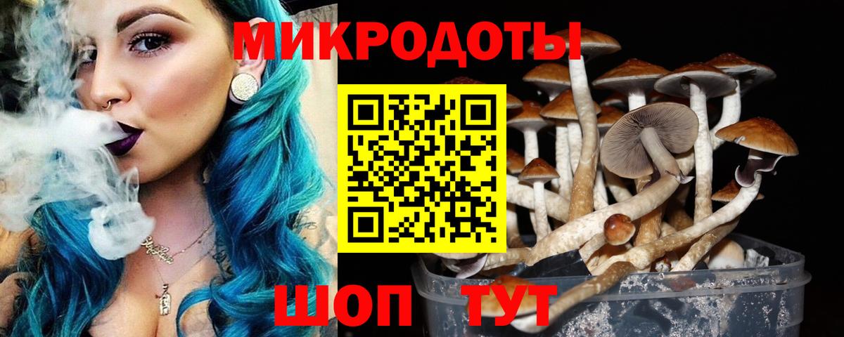Галлюциногенные грибы GOLDEN TEACHER  Вход с VPN  Галлюциногенные грибы Psilocybine cubensis  Зеленокумск 